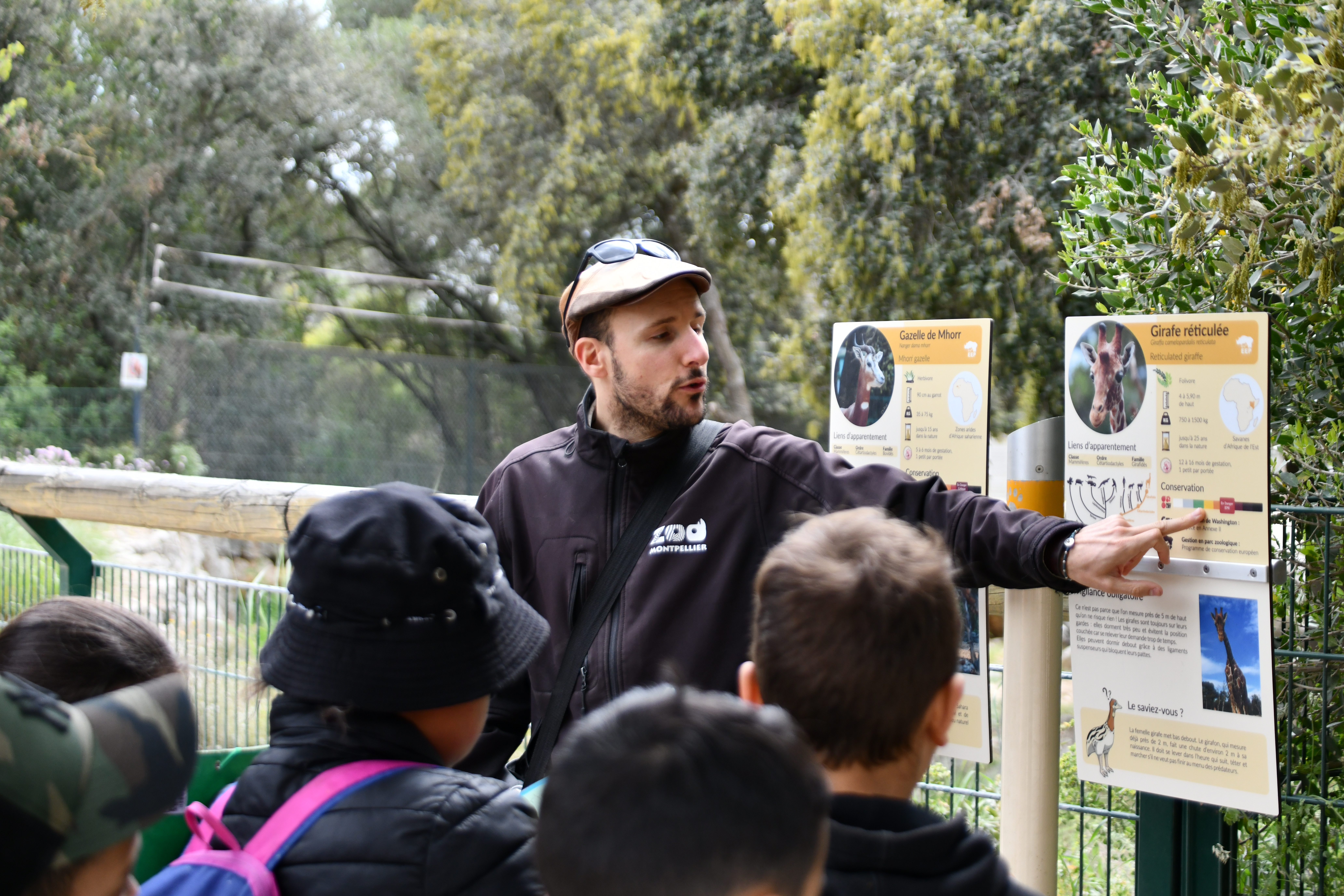 Photo d'une animation pédagogique au zoo de Montpellier