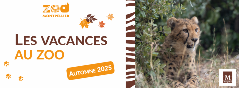 Bannière vacances d'automne 2025 avec un jeune guépard en illustration.