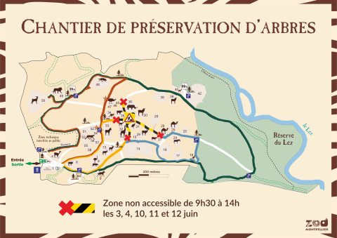 image d'un plan du zoo de Montpellier en chantier