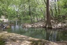 Photo de la réserve du Lez.